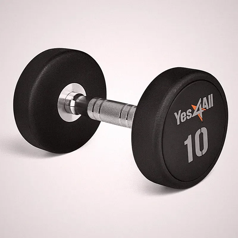 Yes4All Premium Urethane Dumbbell - 10 Pounds Nllp