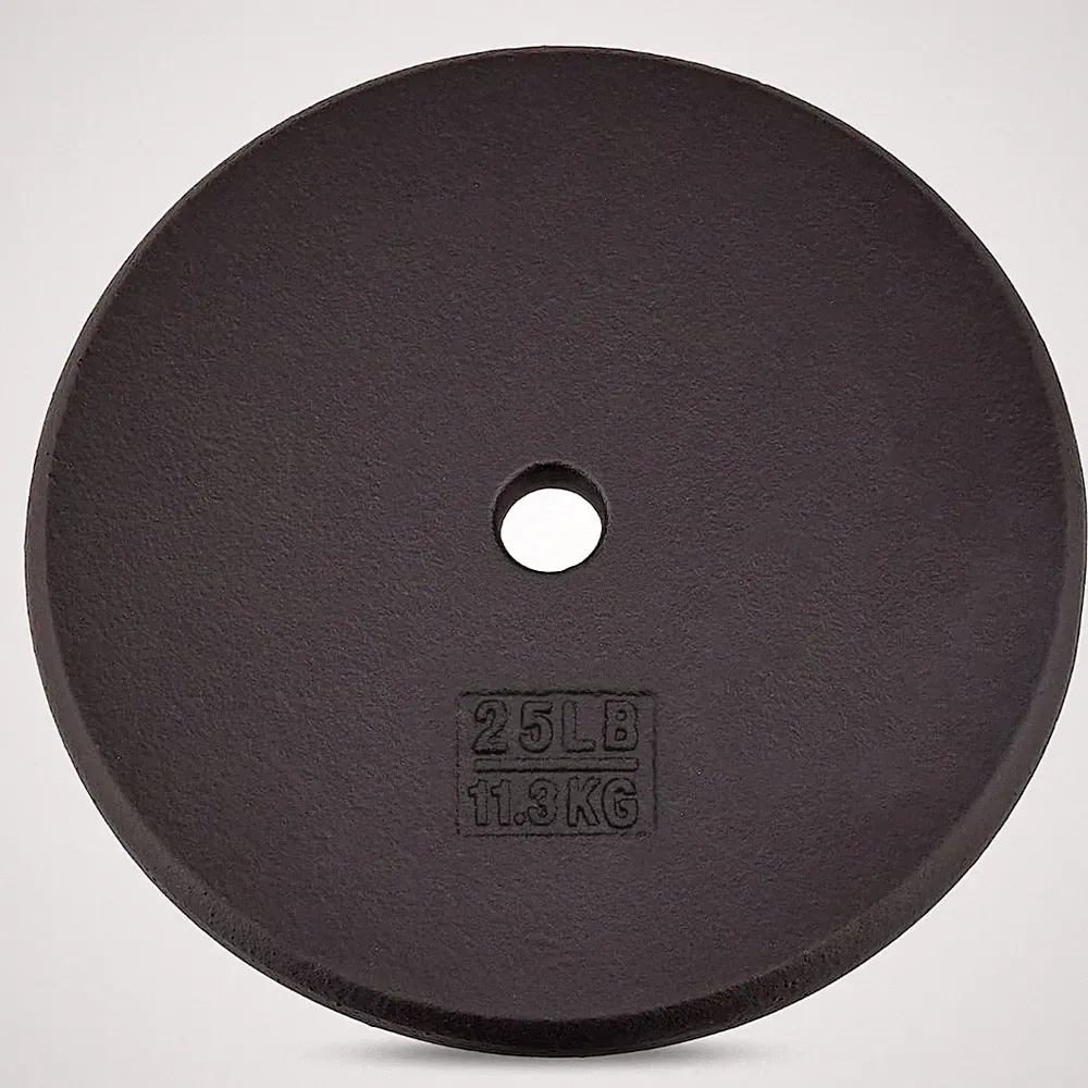 Yes4All Standard 1 Inch Cast Iron Weight Plate - Ideal for 25LB, Black Single