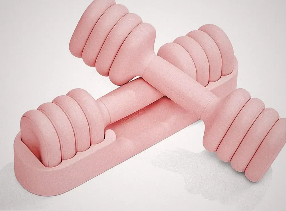 YOTTOY Adjustable Dumbbell Set of 2, 4-in-1 Hand Weights for Women at Home