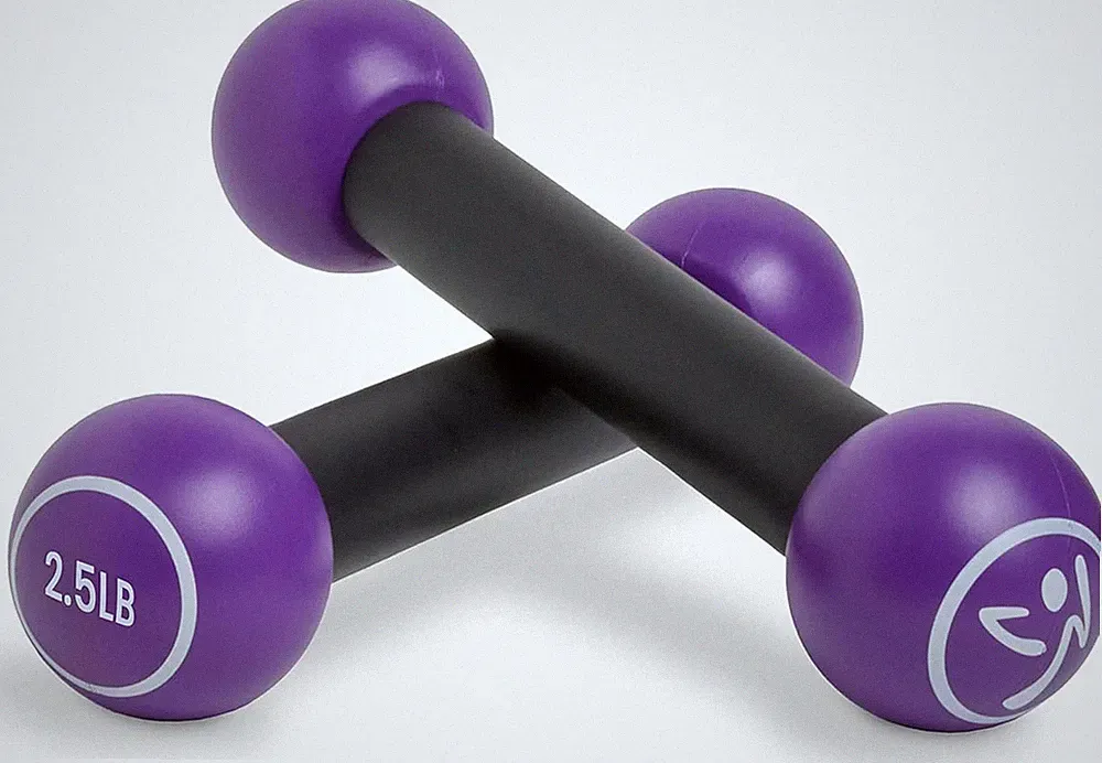 Zumba 2.5 Lb Dumbbells Set of 2 - Hand Weights for Women, for Home Fitness Worko